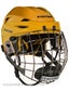 Easton E600 Hockey Helmets w/Cage LG